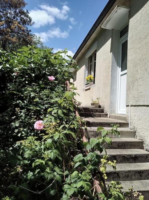 Maison De Village En Bord De Riviere Narcy المظهر الخارجي الصورة